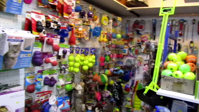 dog-toys-treats-and-lots-of-other-accessories